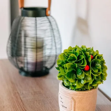 Joy Spot Apartment *