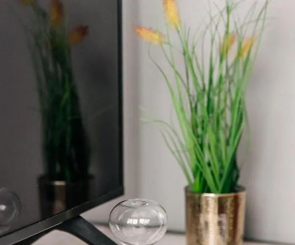 Joy Spot Apartament Kavala