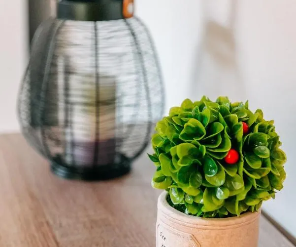 Joy Spot Apartament *